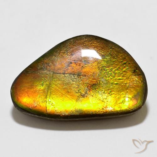 12.35ct Naturale Multicolore Ammolite, Taglio a fantasia, Opaco