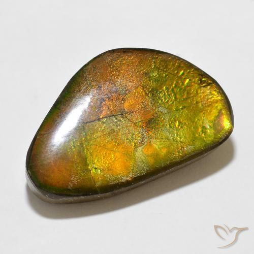 Ammolite Multicolore naturale da 12.35 ct, Taglio a fantasia, Opaco