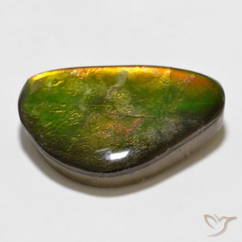 Ammolite Multicolore naturale da 12.35 ct, Taglio a fantasia, Opaco