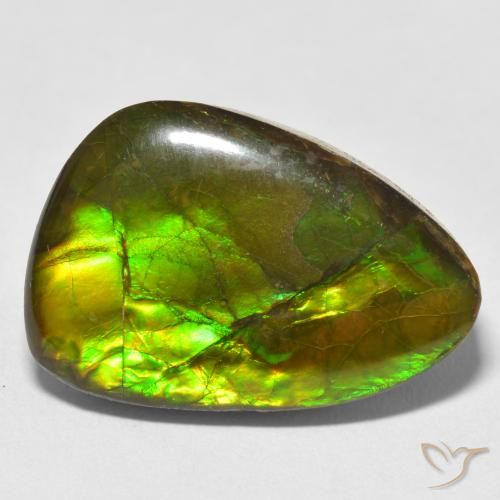17.22ct Naturale Multicolore Ammolite, Taglio a fantasia, Opaco