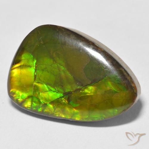 Ammolite Multicolore naturale da 17.22 ct, Taglio a fantasia, Opaco