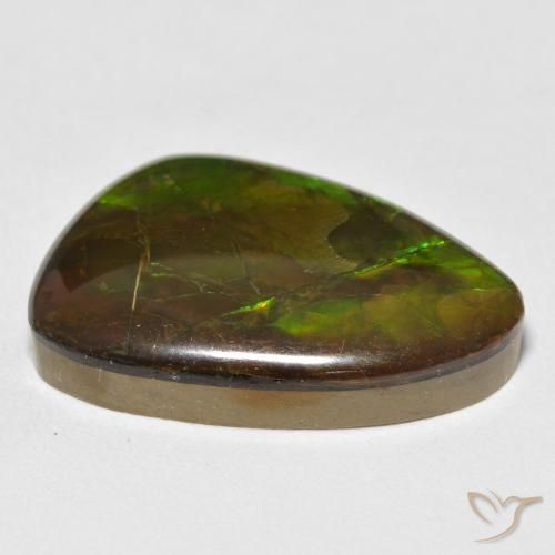Ammolite Multicolore naturale da 17.22 ct, Taglio a fantasia, Opaco