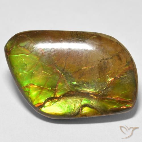 16.70ct Naturale Multicolore Ammolite, Taglio a fantasia, Opaco