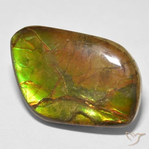 Ammolite Multicolore naturale da 16.70 ct, Taglio a fantasia, Opaco