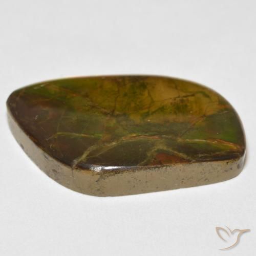 Ammolite Multicolore naturale da 16.70 ct, Taglio a fantasia, Opaco
