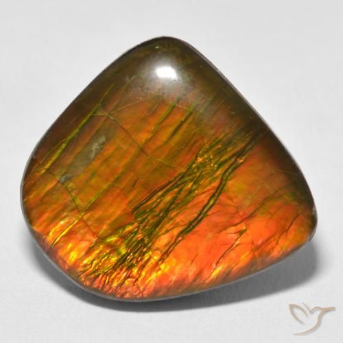 Ammolite Multicolore naturale da 17.88 ct, Taglio a fantasia, Opaco
