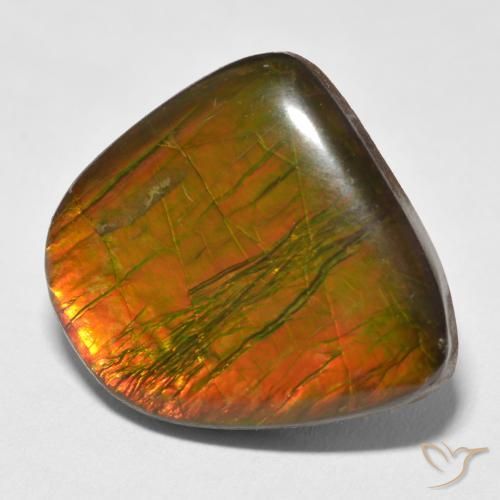 Ammolite Multicolore naturale da 17.88 ct, Taglio a fantasia, Opaco