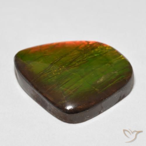 Ammolite Multicolore naturale da 17.88 ct, Taglio a fantasia, Opaco