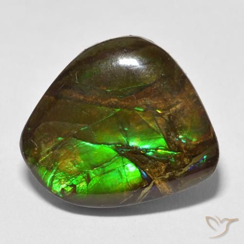 Ammolite Multicolore naturale da 13.52 ct, Taglio a fantasia, Opaco