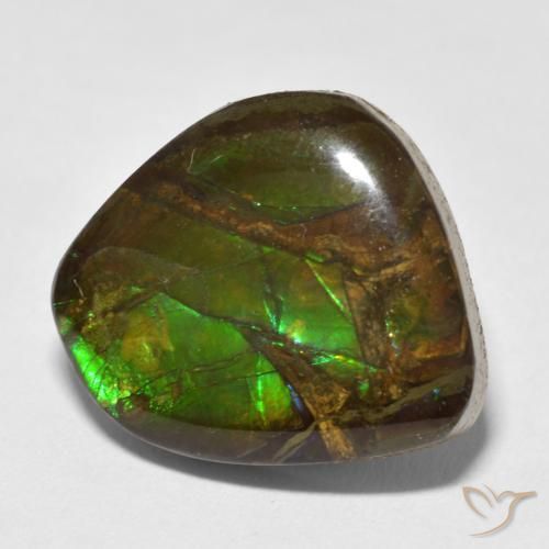Ammolite Multicolore naturale da 13.52 ct, Taglio a fantasia, Opaco