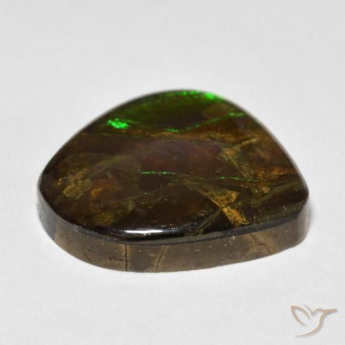 Ammolite Multicolore naturale da 13.52 ct, Taglio a fantasia, Opaco