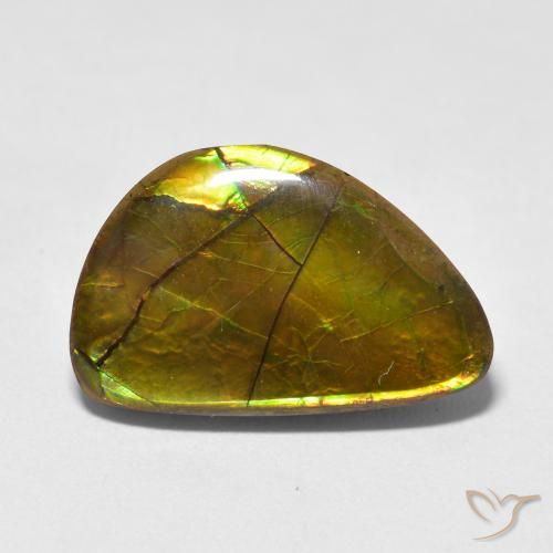 11.63ct Naturale Multicolore Ammolite, Taglio a fantasia, Opaco