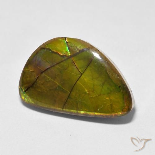 Ammolite Multicolore naturale da 11.63 ct, Taglio a fantasia, Opaco