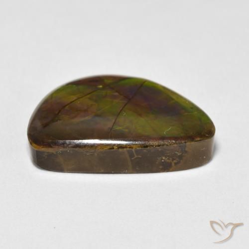 Ammolite Multicolore naturale da 11.63 ct, Taglio a fantasia, Opaco