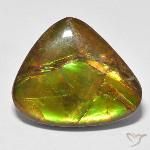 13.26ct Naturale Multicolore Ammolite, Taglio a fantasia, Opaco