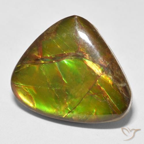 Ammolite Multicolore naturale da 13.26 ct, Taglio a fantasia, Opaco