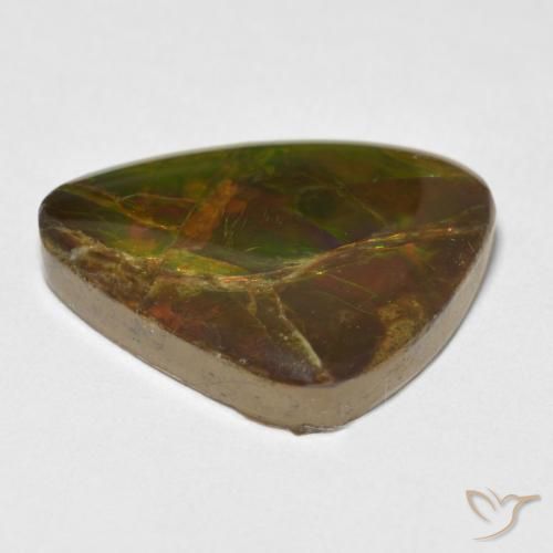 Ammolite Multicolore naturale da 13.26 ct, Taglio a fantasia, Opaco