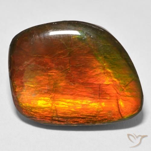 15.38ct Naturale Multicolore Ammolite, Taglio a fantasia, Opaco