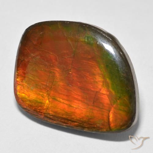 Ammolite Multicolore naturale da 15.38 ct, Taglio a fantasia, Opaco
