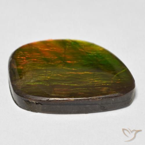 Ammolite Multicolore naturale da 15.38 ct, Taglio a fantasia, Opaco