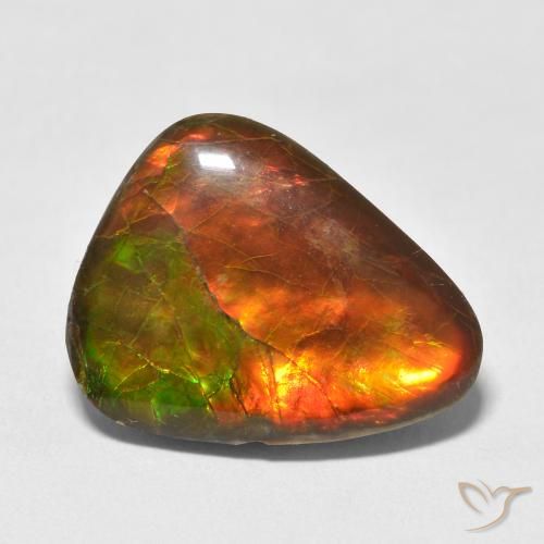 13.25ct Naturale Multicolore Ammolite, Taglio a fantasia, Opaco