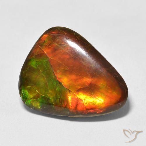 Ammolite Multicolore naturale da 13.25 ct, Taglio a fantasia, Opaco