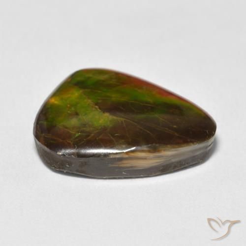 Ammolite Multicolore naturale da 13.25 ct, Taglio a fantasia, Opaco
