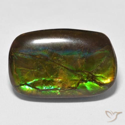16.16ct Naturale Multicolore Ammolite, Taglio a fantasia, Opaco