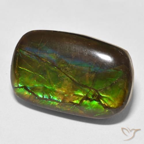 Ammolite Multicolore naturale da 16.16 ct, Taglio a fantasia, Opaco