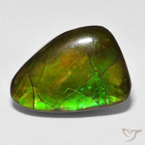 13.40ct Naturale Multicolore Ammolite, Taglio a fantasia, Opaco