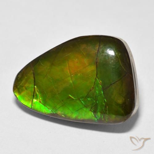 Ammolite Multicolore naturale da 13.40 ct, Taglio a fantasia, Opaco