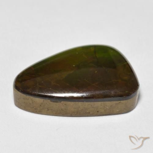 Ammolite Multicolore naturale da 13.40 ct, Taglio a fantasia, Opaco