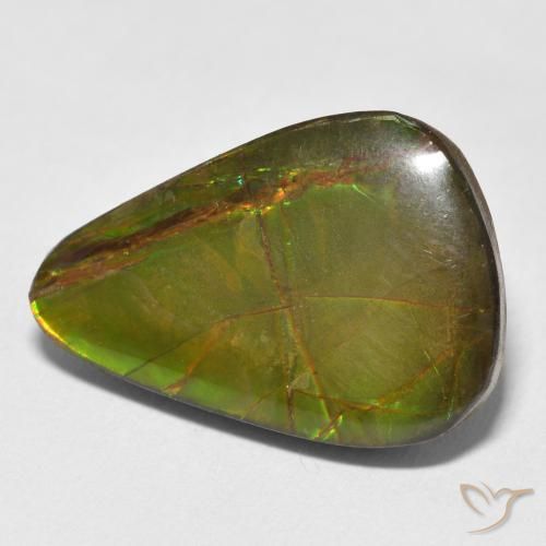 Ammolite Multicolore naturale da 11.59 ct, Forma a pera, Opaco