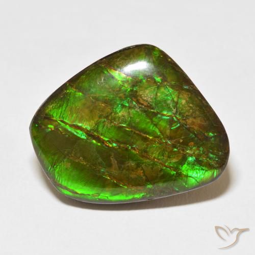 Ammolite Multicolore naturale da 18.11 ct, Taglio a fantasia, Opaco