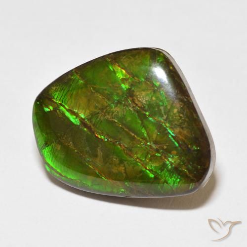 Ammolite Multicolore naturale da 18.11 ct, Taglio a fantasia, Opaco
