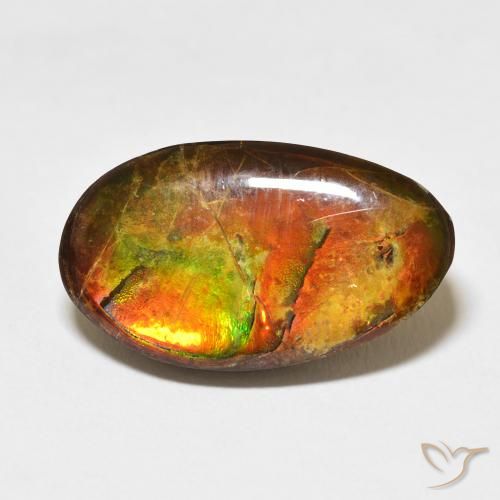 15.62ct Naturale Multicolore Ammolite, Taglio a fantasia, Opaco