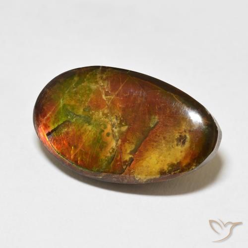 Ammolite Multicolore naturale da 15.62 ct, Taglio a fantasia, Opaco