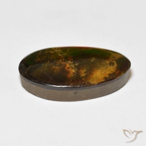 Ammolite Multicolore naturale da 15.62 ct, Taglio a fantasia, Opaco