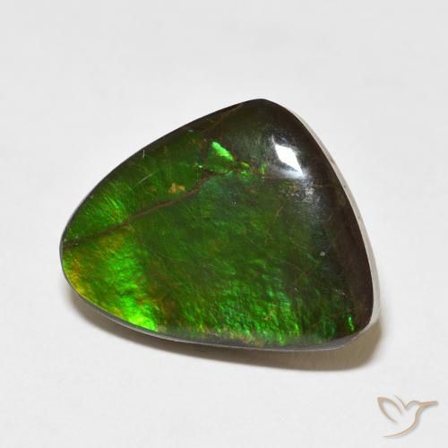 Ammolite Multicolore naturale da 11.37 ct, Taglio a fantasia, Opaco