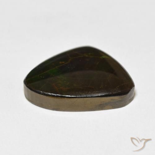 Ammolite Multicolore naturale da 11.37 ct, Taglio a fantasia, Opaco