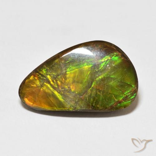 Ammolite Multicolore naturale da 14.61 ct, Taglio a fantasia, Opaco