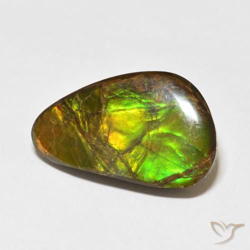 Ammolite Multicolore naturale da 14.61 ct, Taglio a fantasia, Opaco