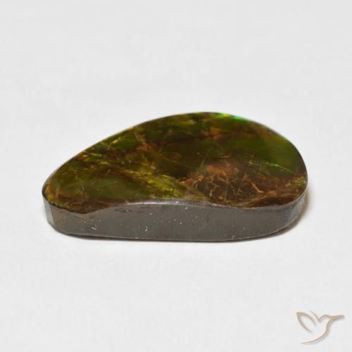 Ammolite Multicolore naturale da 14.61 ct, Taglio a fantasia, Opaco
