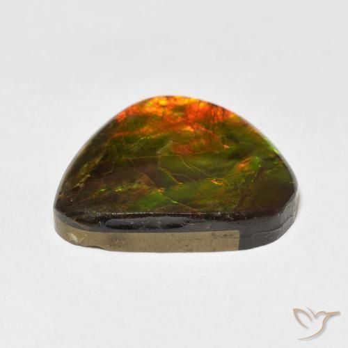 Ammolite Multicolore naturale da 11.60 ct, Taglio a fantasia, Opaco