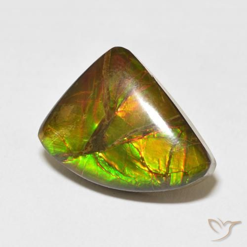 Ammolite Multicolore naturale da 10.22 ct, Taglio a fantasia, Opaco