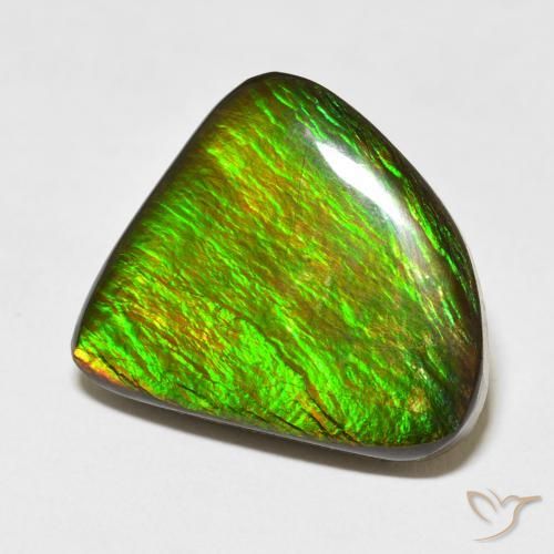 Ammolite Multicolore naturale da 16.47 ct, Taglio a fantasia, Opaco