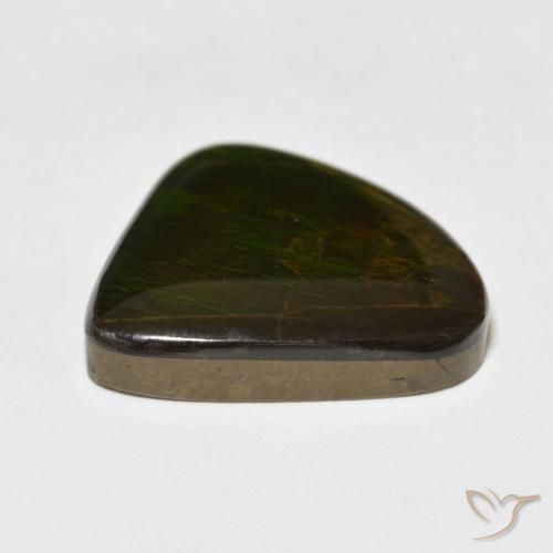 Ammolite Multicolore naturale da 16.47 ct, Taglio a fantasia, Opaco