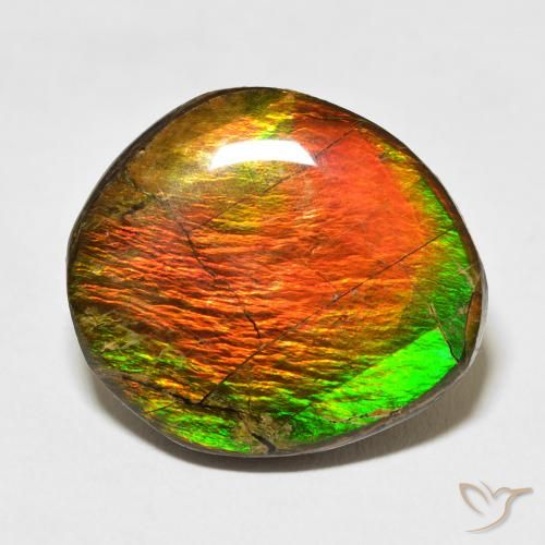17.77ct Naturale Multicolore Ammolite, Taglio a fantasia, Opaco