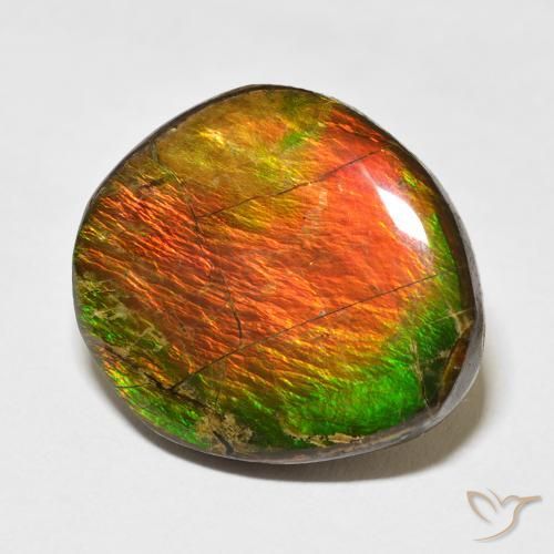Ammolite Multicolore naturale da 17.77 ct, Taglio a fantasia, Opaco