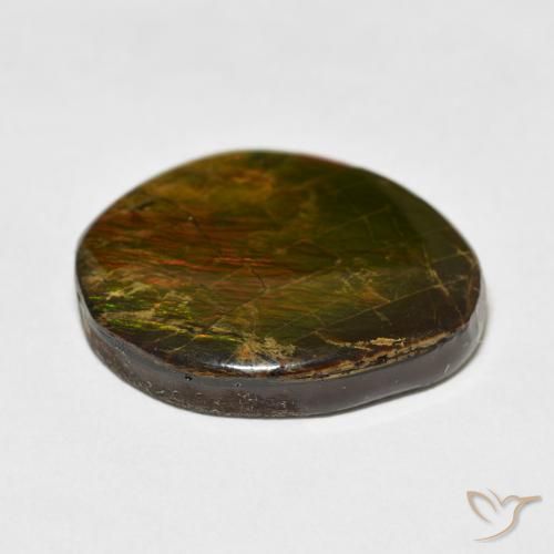 Ammolite Multicolore naturale da 17.77 ct, Taglio a fantasia, Opaco